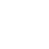 Vikk